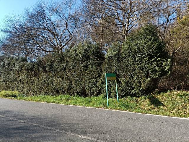 Terreno residencial en Venta en Rúa Loureiros en Cesuras