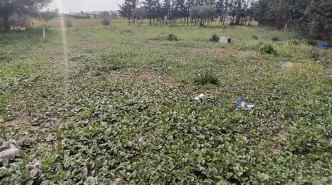 Foto 2 de Casa o chalet en venta en Pelagatos - Pago del Humo, Cádiz