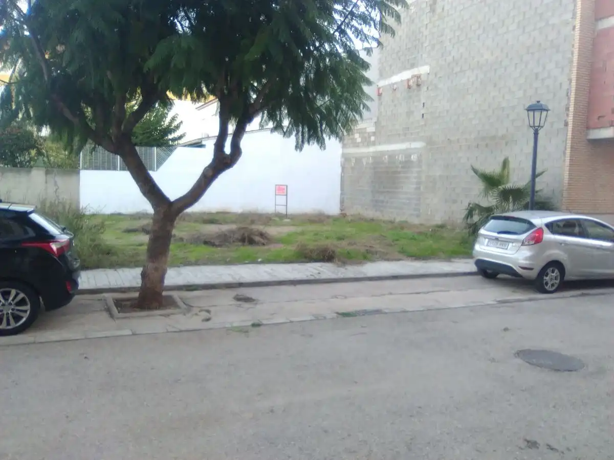 Terreno rústico en venta en Algímia de Alfara, imagen 13