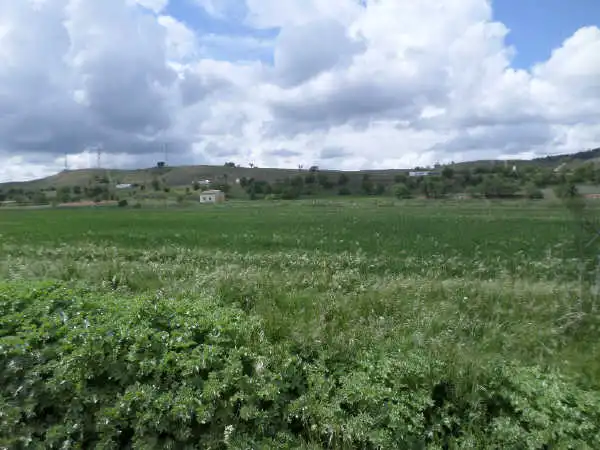 Rustikales Grundstück zum Verkauf in Sector 25, imagen 12