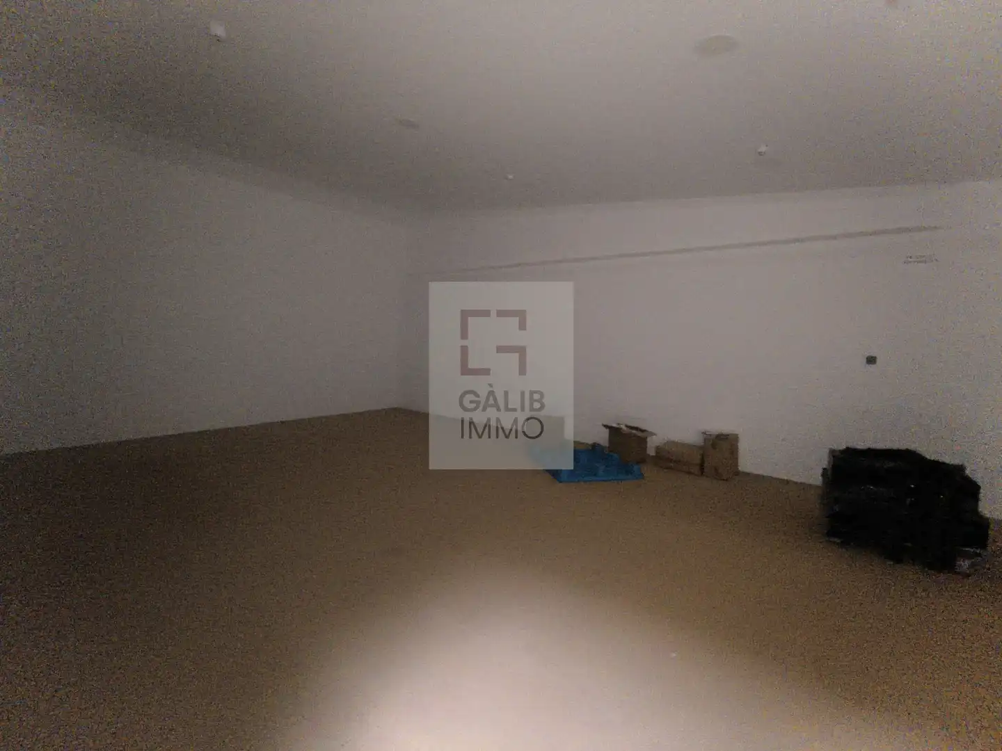 Nave industrial in vendita a Avinyonet de Puigventós, imagen 11