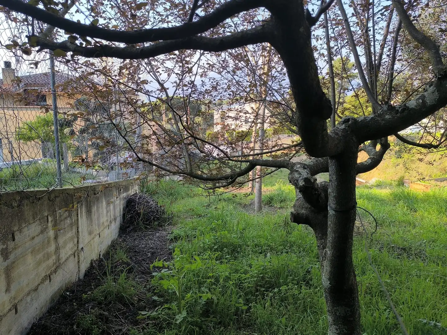 Terrenos y solares en venta en camperol, imagen 10