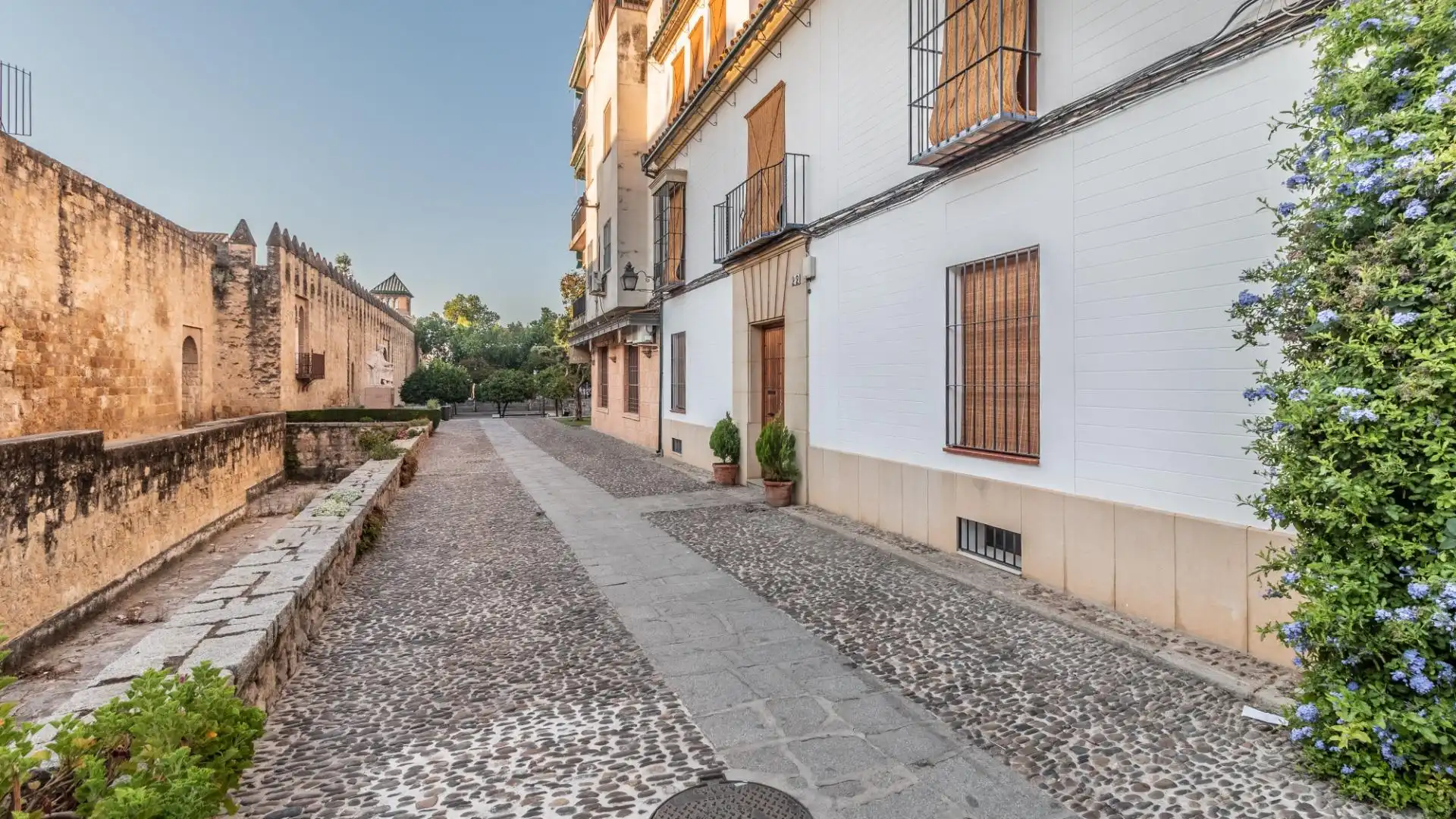 Vista exterior de Casa o chalet en venta en Córdoba con Terraza, Trastero y Amueblado