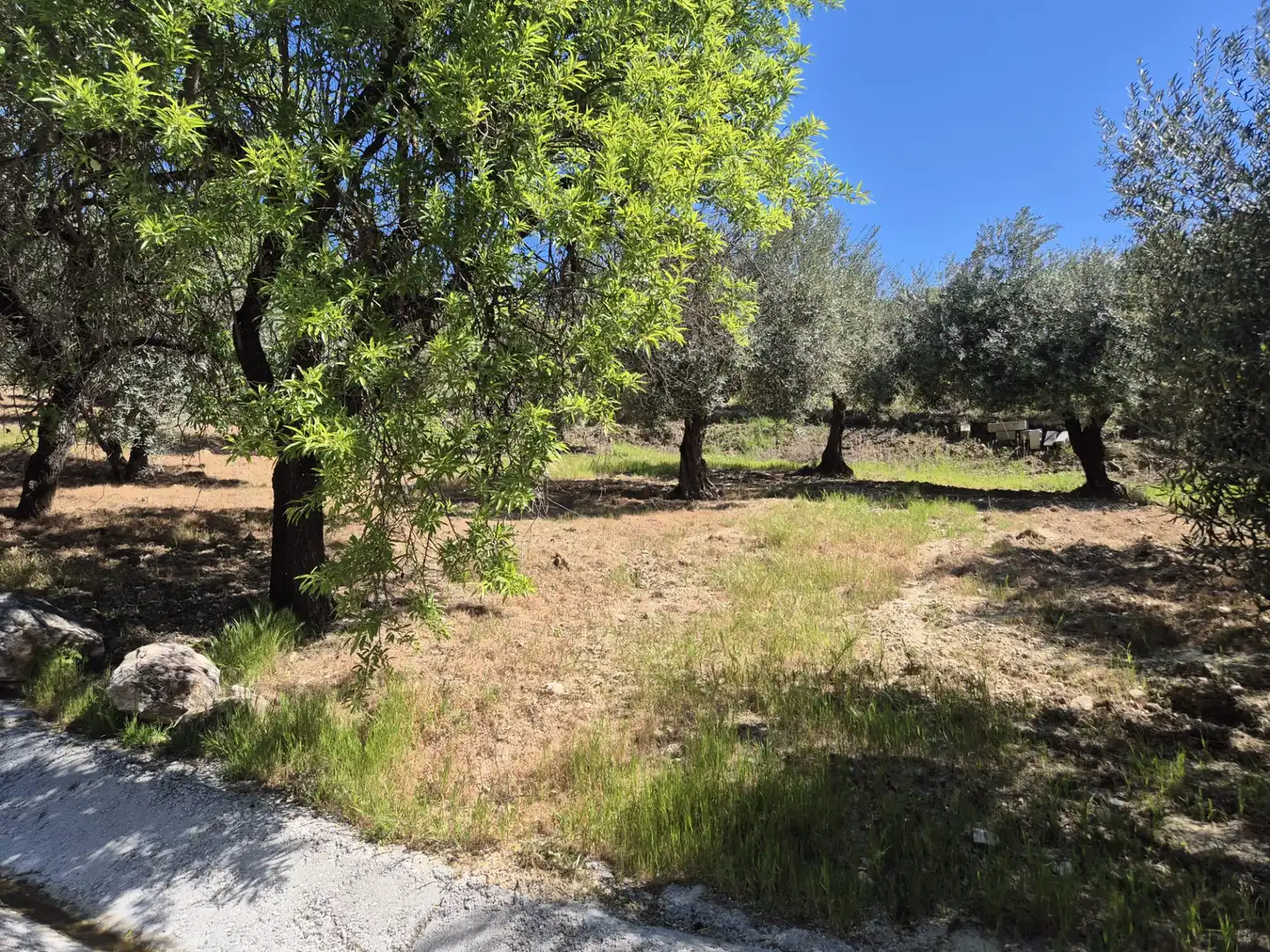 Finca rústica en venda en Monda amb Calefacció, Jardí privat i Terrassa