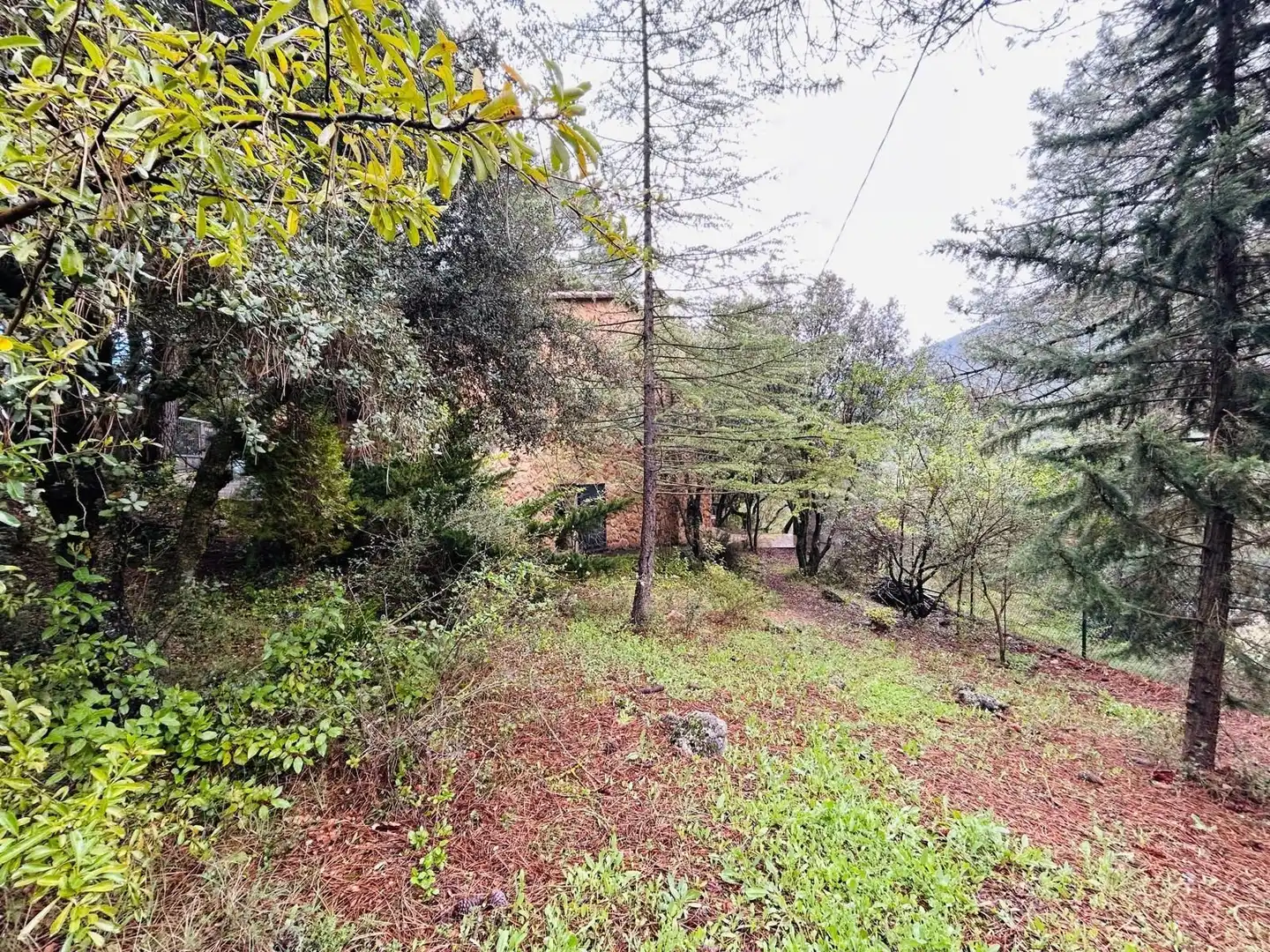 Finca rústica en venta en Riópar con Terraza, Trastero y Amueblado