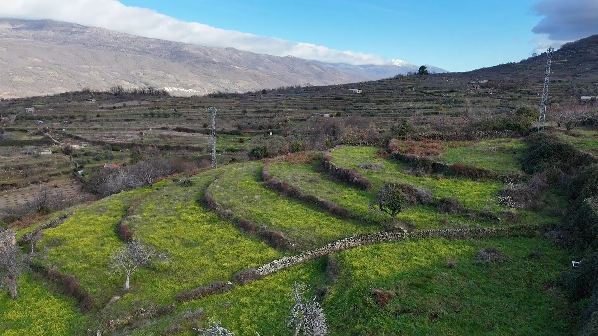 Land for sale in Casas del Castañar