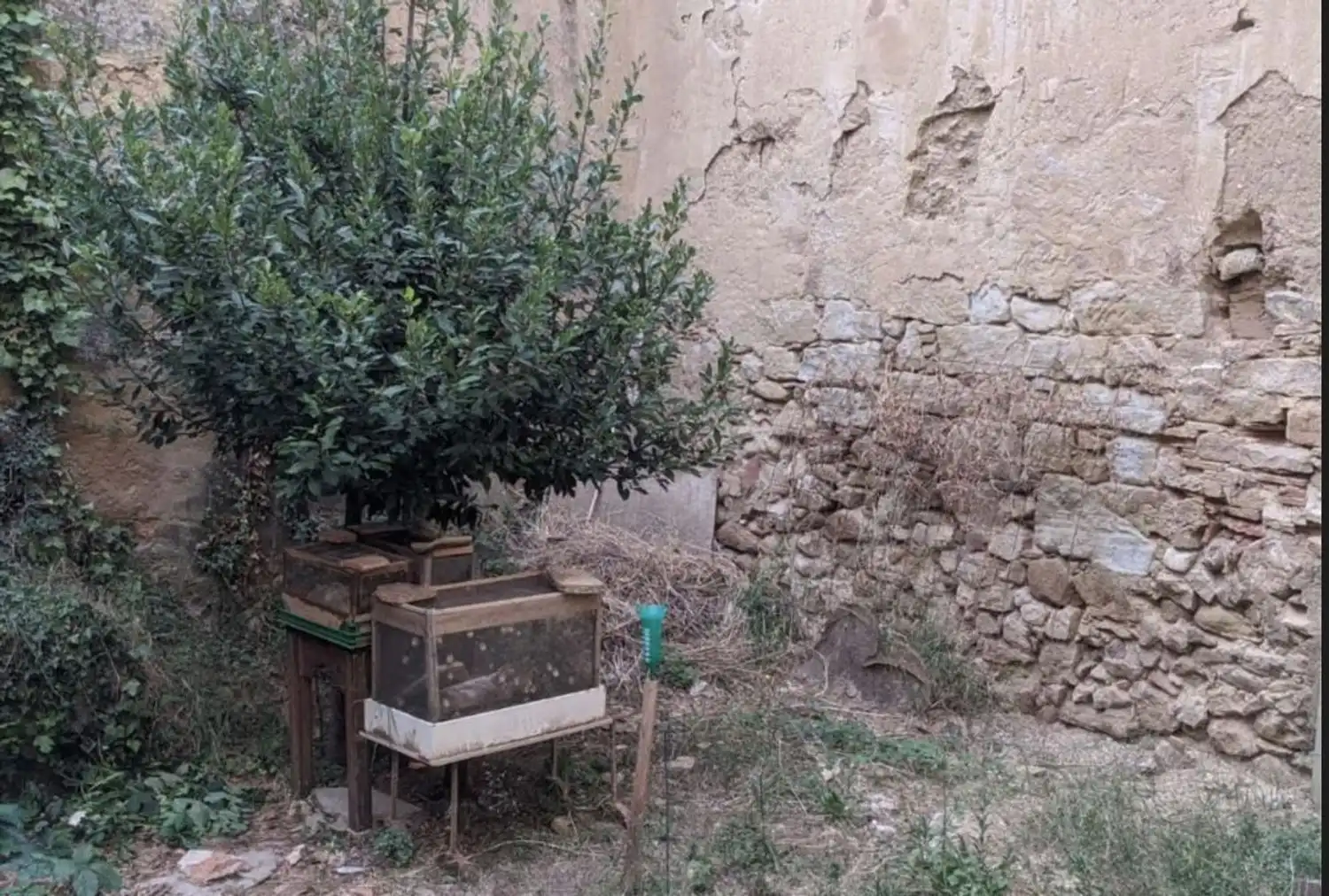 Garden of Houses for sale in Rubielos de Mora  with Terrace and Storage room