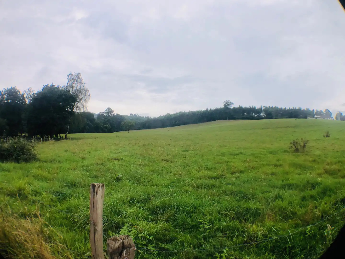Grundstücke zum Verkauf in Piélagos