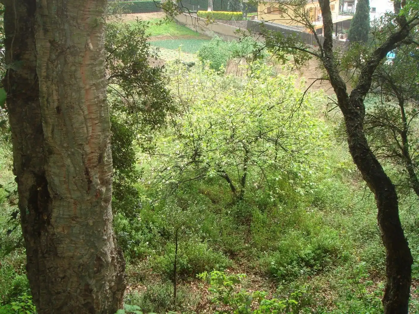 Terreno residencial en venta en Lloc Can Puigdemir 8H, imagen 12