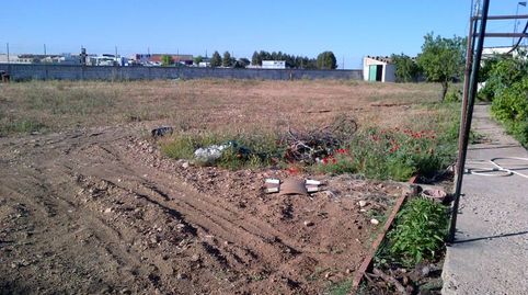 TERRENO DE MAS DE 5000 MTROS EN CTRA DE ROMICA, imatge 2