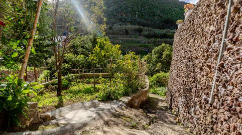 Photo 4 of House or chalet for sale in Camino Lugar Diseminado Bascamao, 13, 35450, Arenales - Lugo - Avda. Marítima, Las Palmas de Gran Canaria