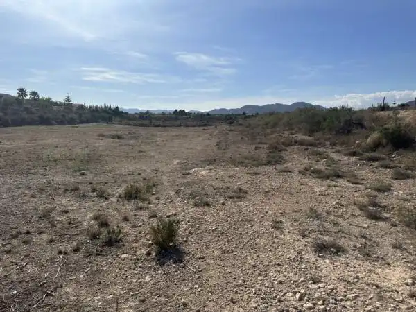 Rural land for sale in Novelda, imagen 7