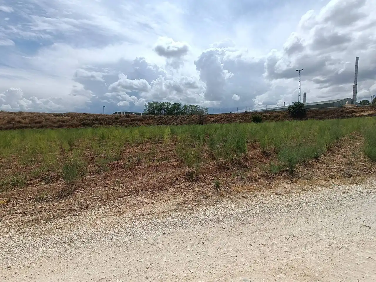 Rural land for sale in Moraleda de Zafayona, imagen 11