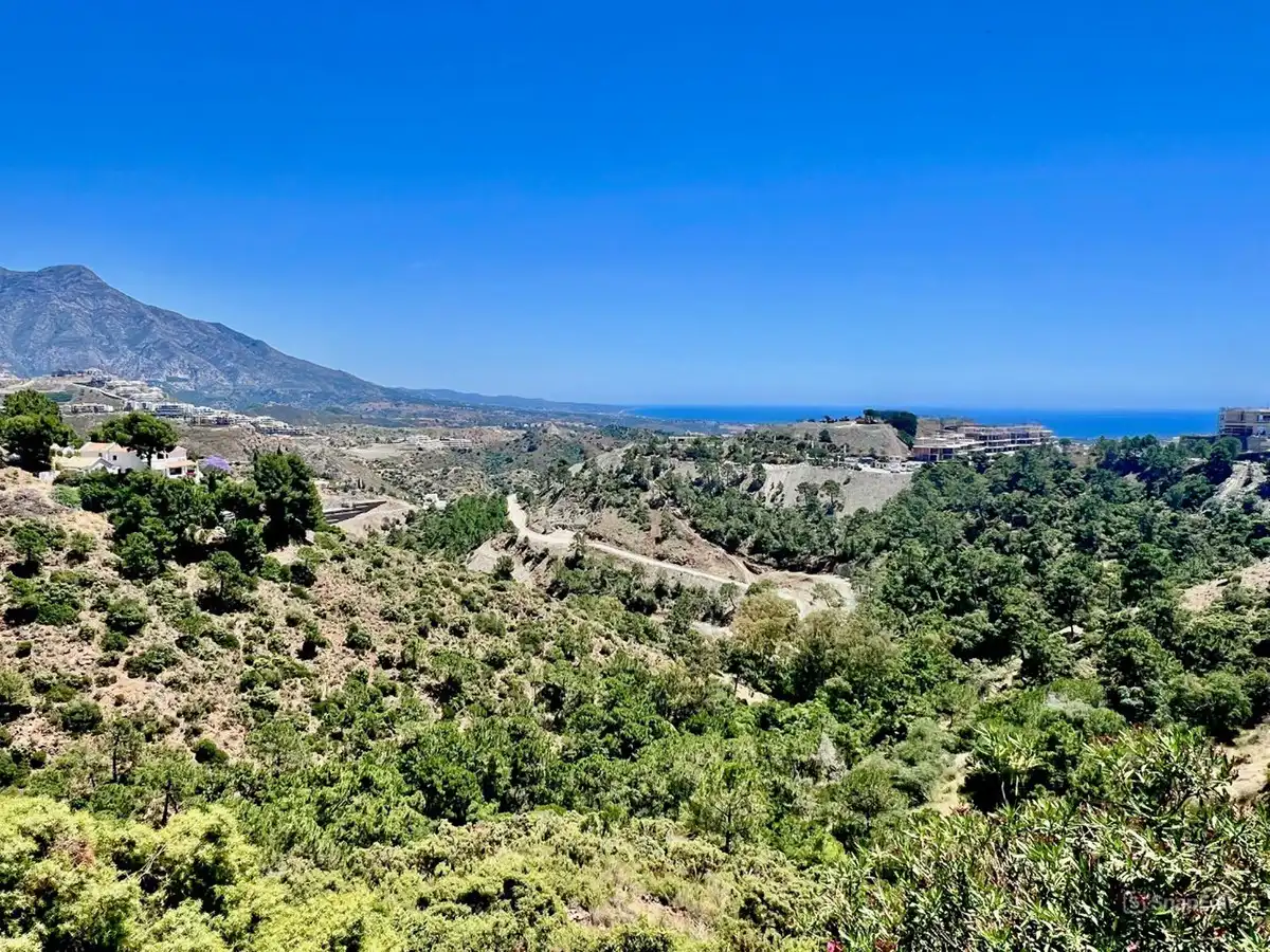 Vista exterior de Residencial en venta en Benahavís