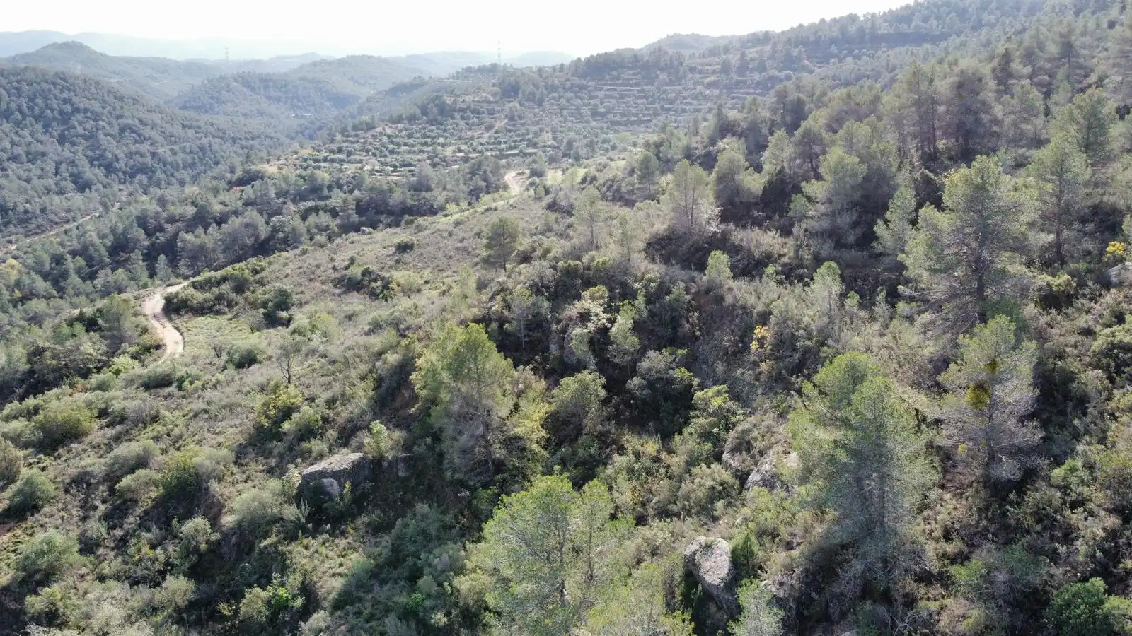 Terreno rustico in vendita a Cervià de Les Garrigues, imagen 30