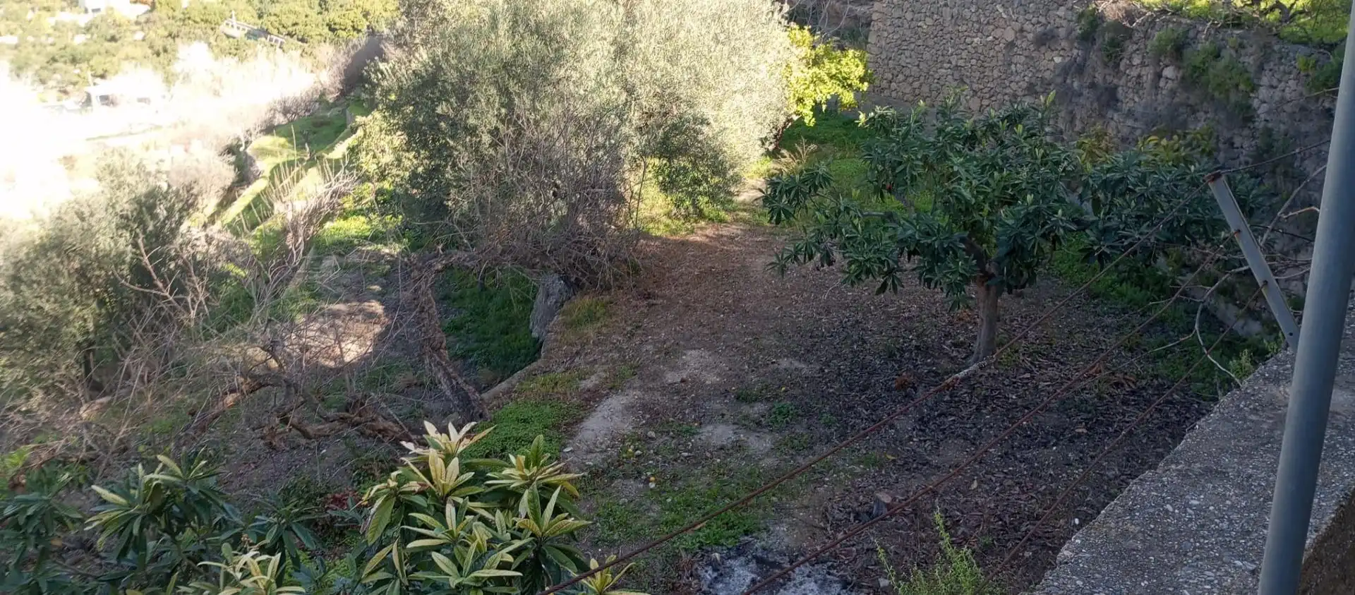 Casa rústica amb jardí en venda a Vélez de Benaudalla, imagen 21