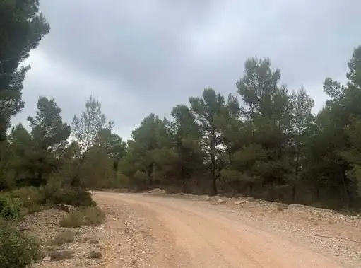 Rustikales Grundstück zum Verkauf in Paraje Fuentecil, imagen 11