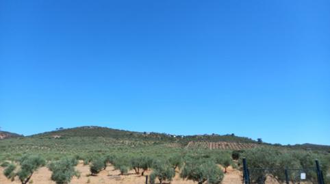 Foto 5 de Finca rústica en venda a Ceres Golf, Cáceres