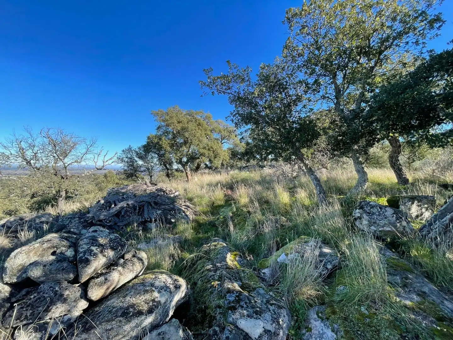 Terreni e lotti in vendita a Montánchez, imagen 12