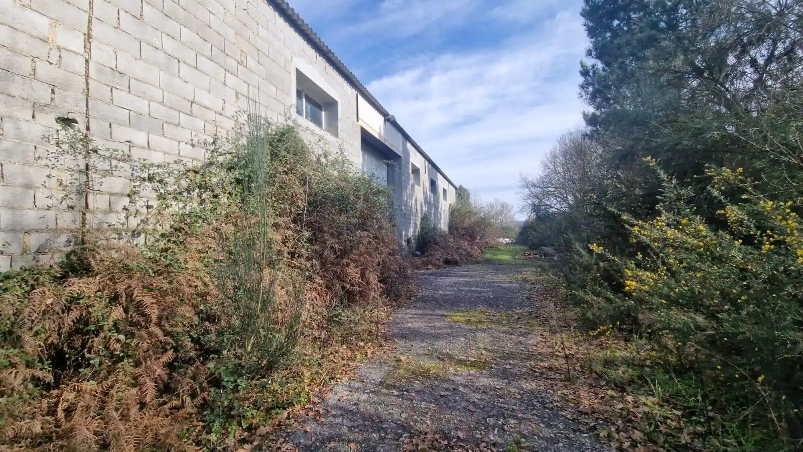 Nave industrielle à vendre à Aldea Lavandeira, imagen 14