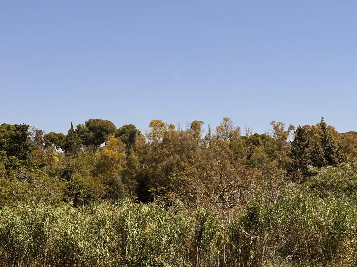 Residencial en venta en Churriana