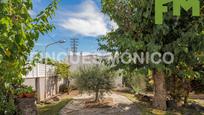 Vista exterior de Casa o xalet en venda en Premià de Dalt amb Terrassa