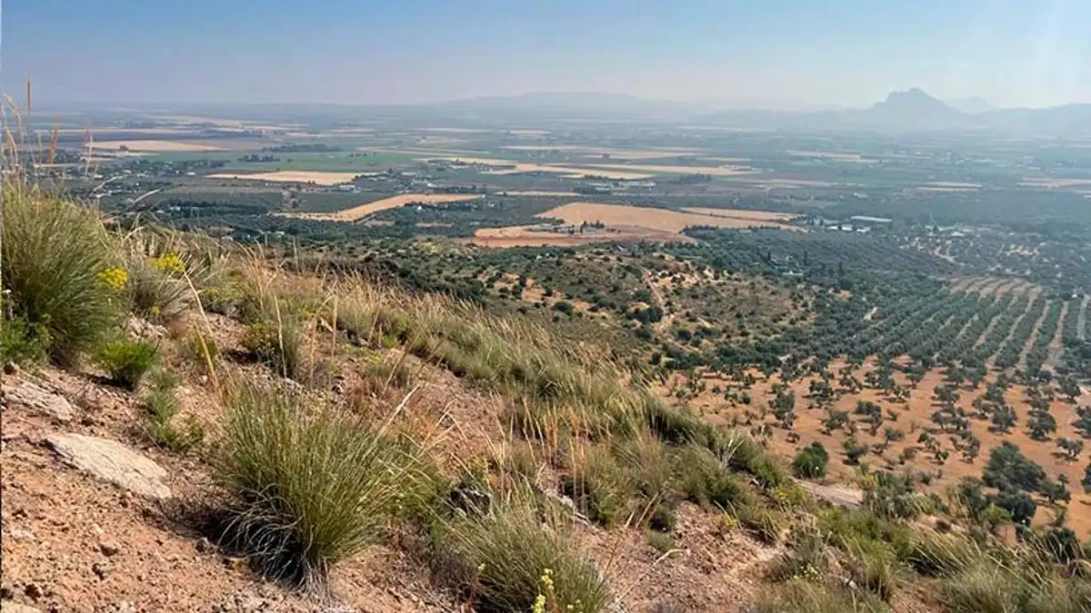 Terrenys i solars en venda a Arrabal Urb Antequera Golf, imagen 6