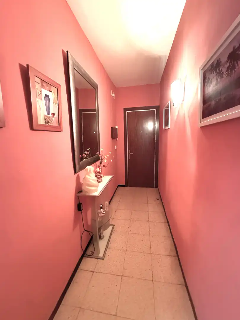 Pis amb terrassa en venda a Avinguda Catalunya, imagen 12