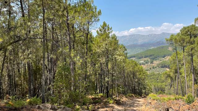 Terreno en Venta en N/A, -1 en Arenas de San Pedro