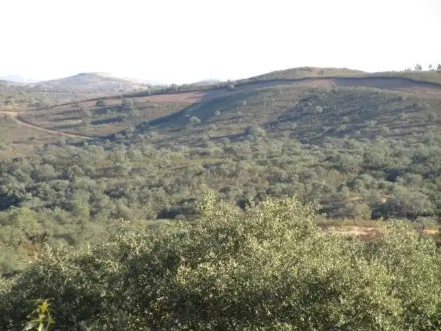 Terreno rústico en venta en Molino de la Vega, imagen 3