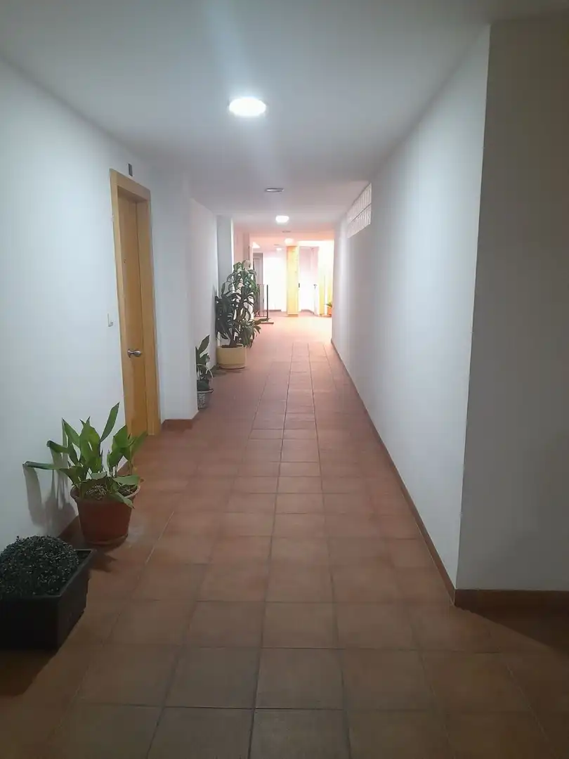 Flat with terrace to rent in Ctra. Circunvalación - La Magdalena, imagen 5