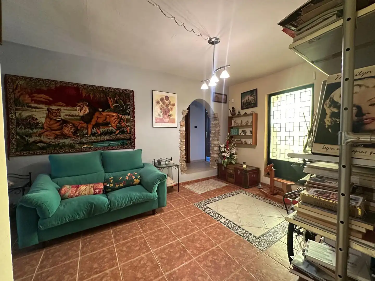 Villa con terrazza in vendita a Las Palmeras, imagen 20