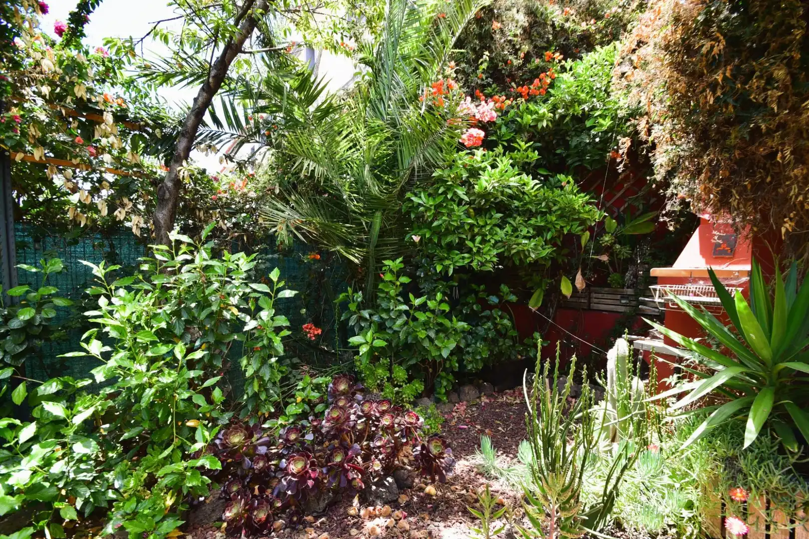 Jardín de Casa adosada de alquiler en San Cristóbal de la Laguna con Aire acondicionado, Calefacción y Jardín privado