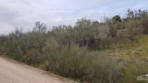 Photo 4 of Land for sale in Partido del Barrancón, Pol.61, Par.92, 61, Jauja, Lucena