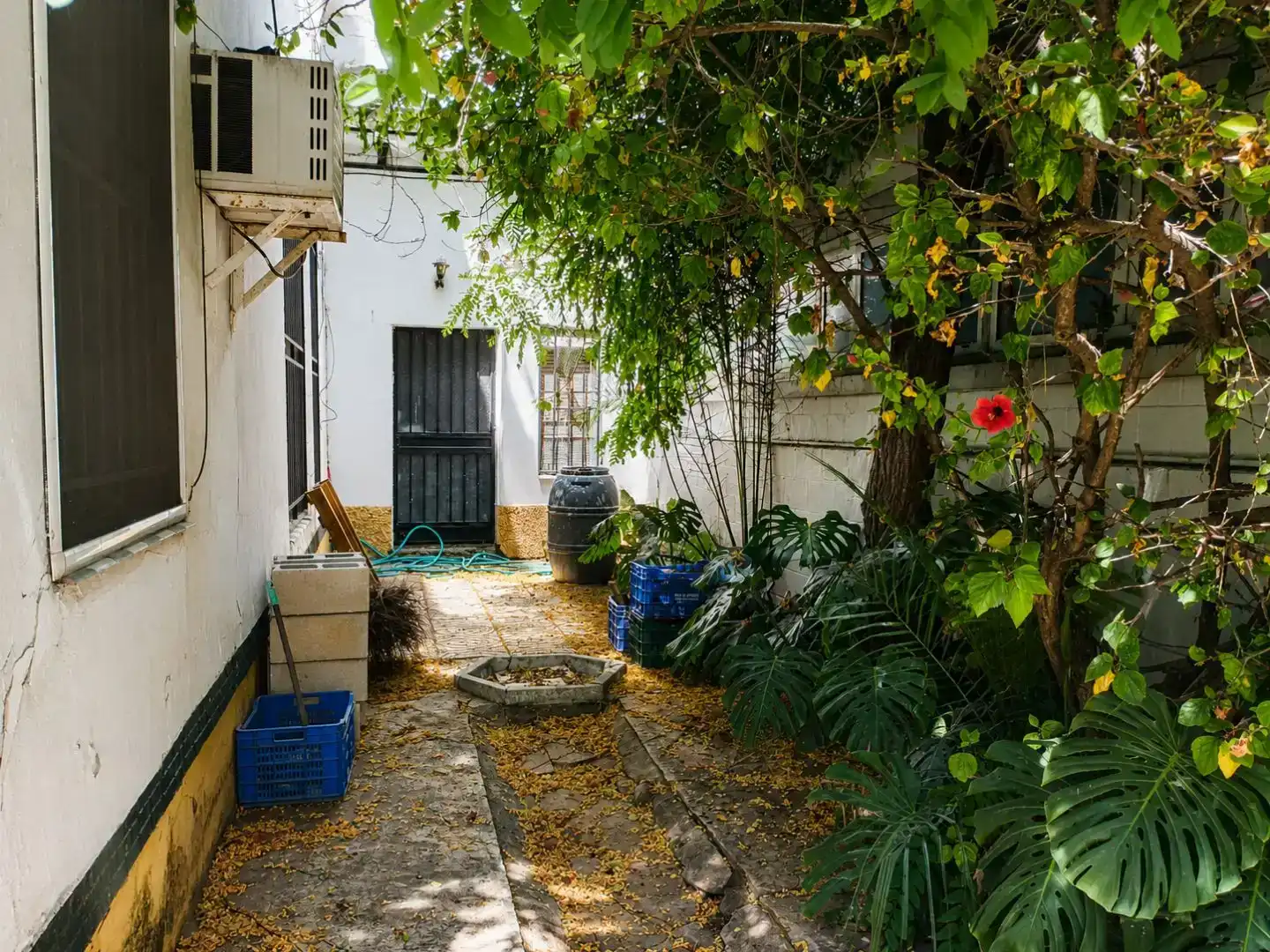 Exterior view of Flat for sale in Sevilla  with Private garden