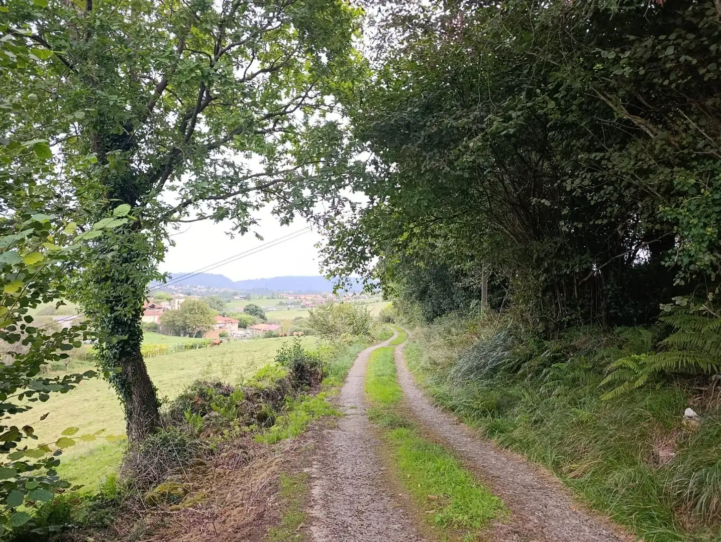Rustikales Grundstück zum Verkauf in Carretera Piñera (Noriega) 0, imagen 64