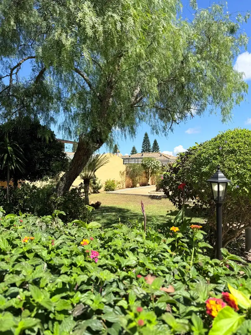 Jardí de Casa o xalet en venda en Chiclana de la Frontera