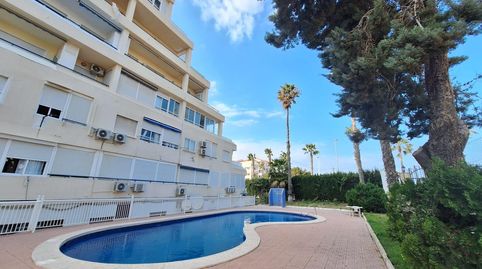 Foto 4 de Apartamento de alquiler en Miramar - Torre del Moro, Torrevieja
