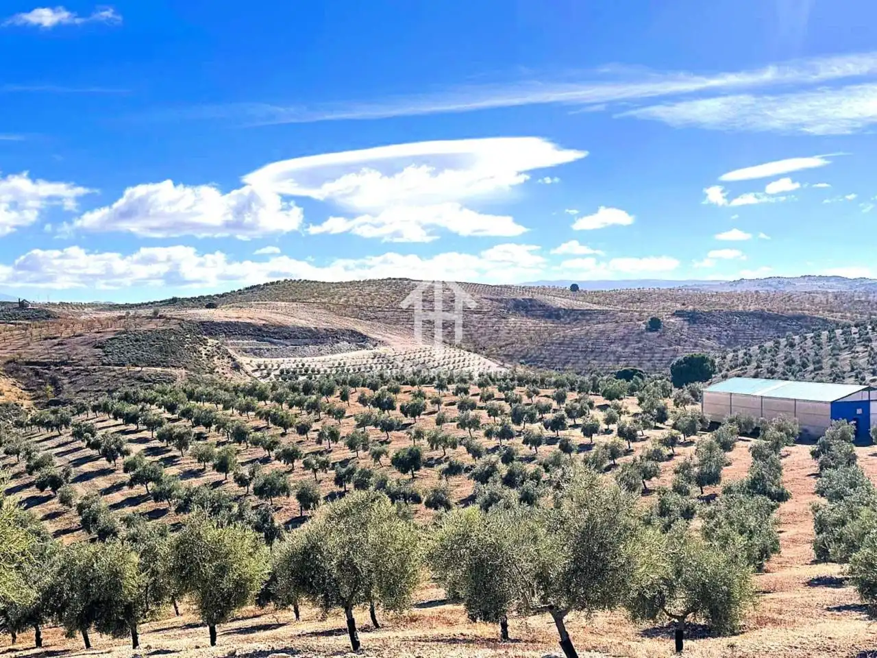 Rustikales Grundstück zum Verkauf in Moraleda de Zafayona, imagen 3