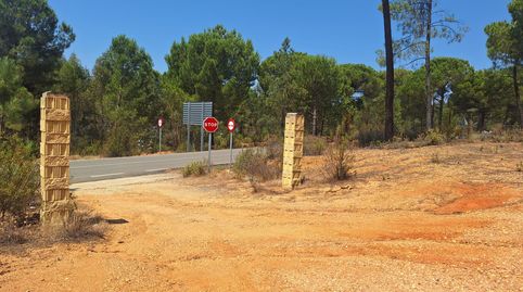 FINCA RUSTICA BEAS, immagine 2