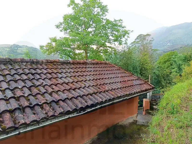 Vista exterior de Finca rústica en venta en Riosa con Calefacción y Amueblado