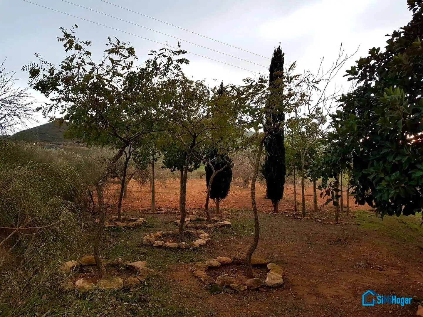 Casa con giardino in vendita a Camino MOJON-LAS PALAS, imagen 35
