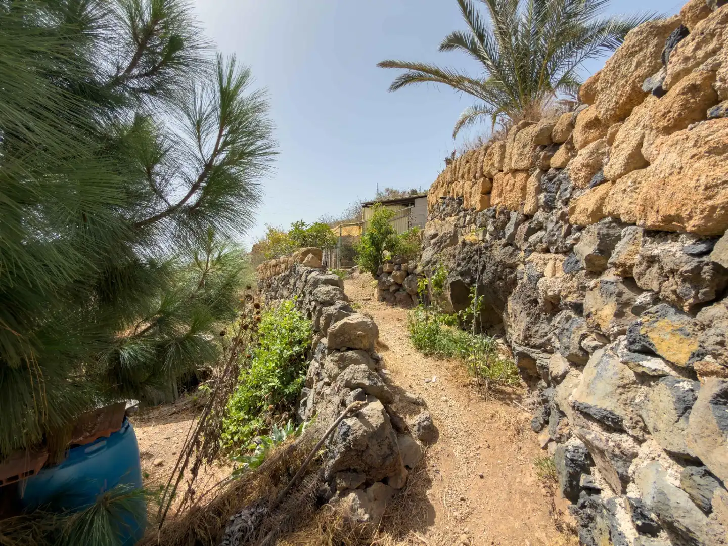 Finca rústica en venda en Güímar