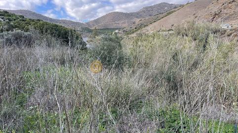 Photo 4 of Residential for sale in Centro, Málaga