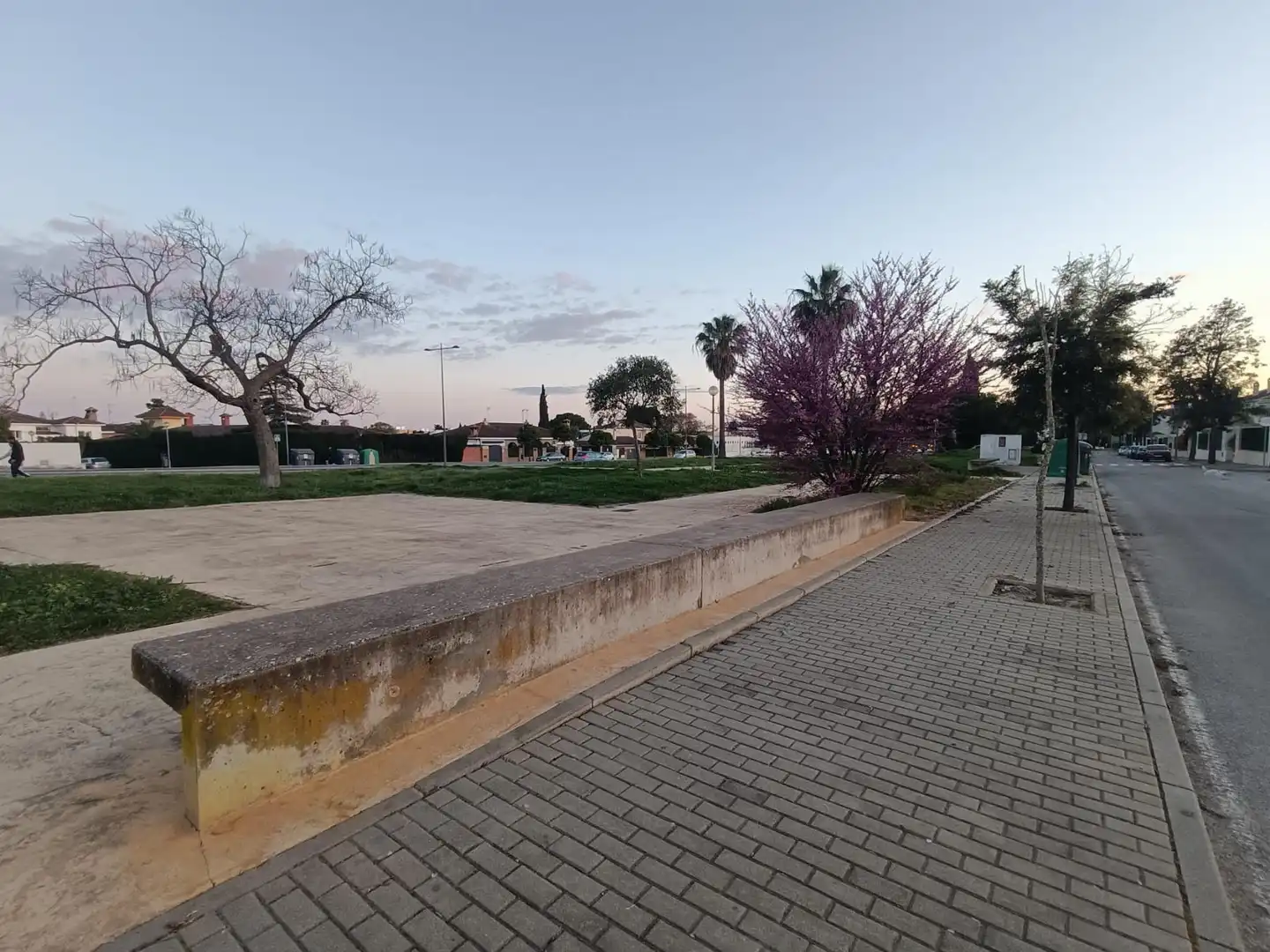 Terrenys i solars en venda a Jerez norte - Montealto - Pozoalbero, imagen 6