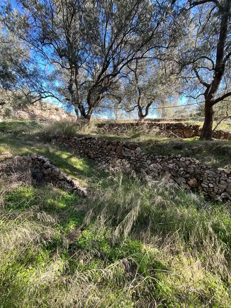 Terreni e lotti in vendita a carretera, imagen 18