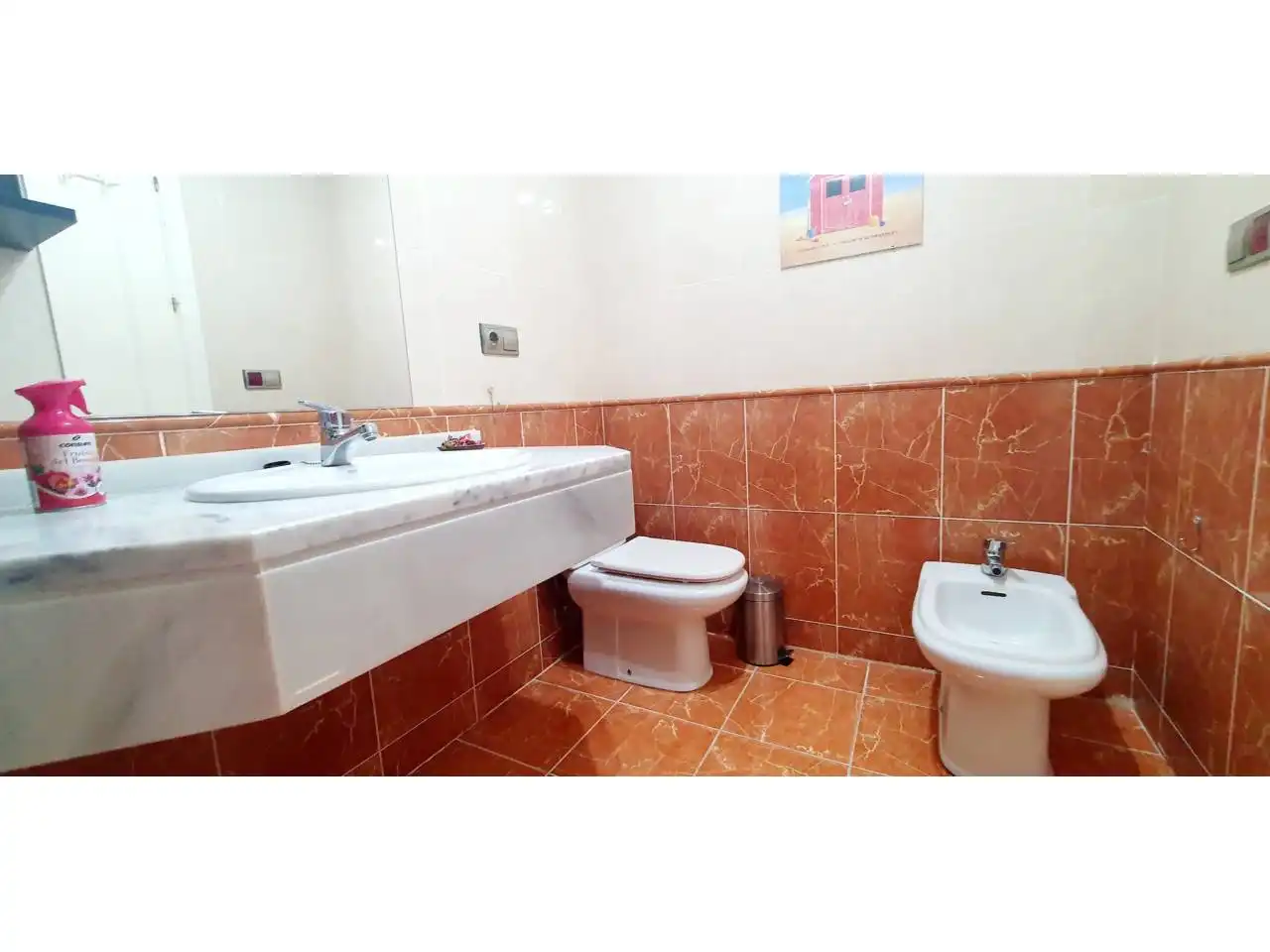 Bany de Apartament en venda en Vícar amb Aire condicionat, Calefacció i Terrassa