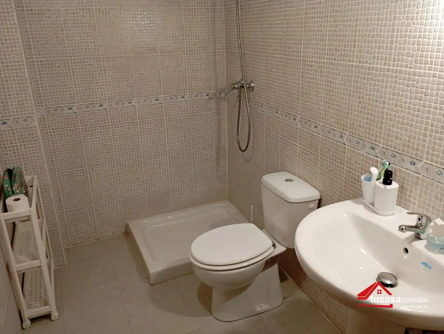 Bathroom of Houses for sale in Córdoba  with Air Conditioner, Private garden and Terrace