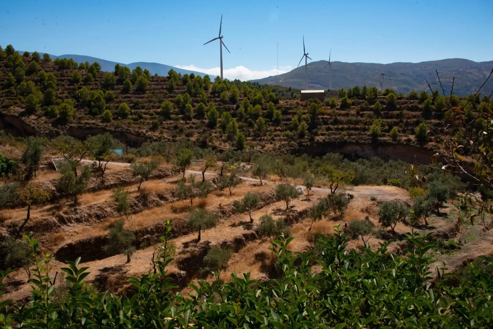 Exterior view of Country homes for sale in El Pinar, Granada