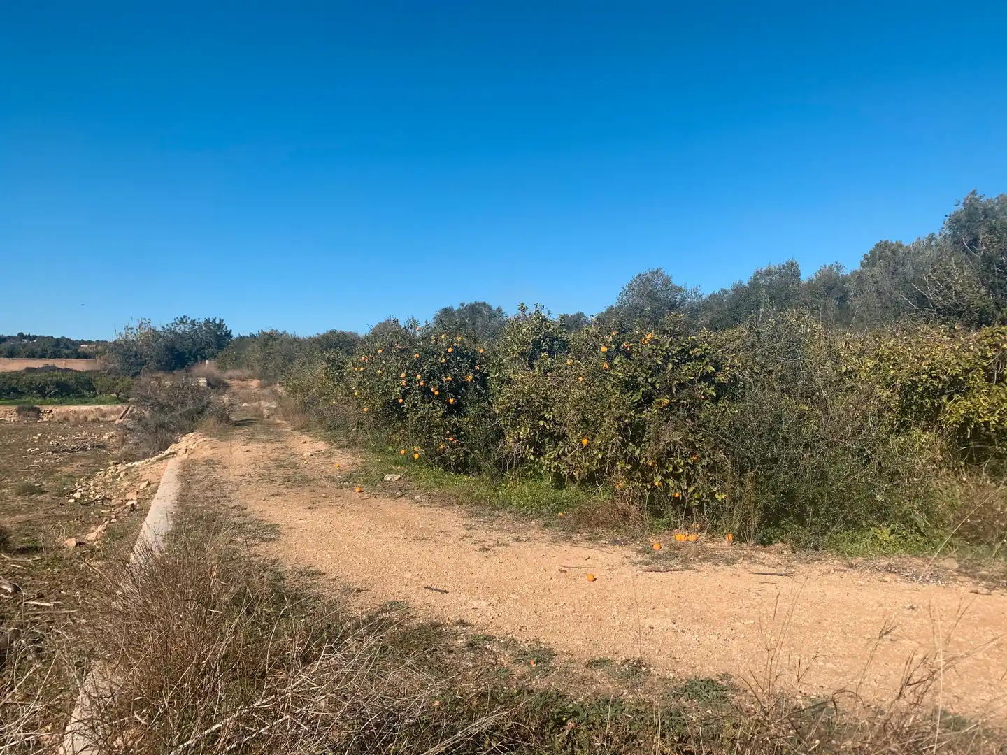 Land for sale in Picassent
